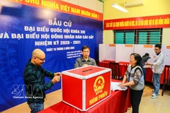 第十六届国会代表和2026-2031年任期各级人民议会代表选举的准备工作正在同步开展。图自越通社