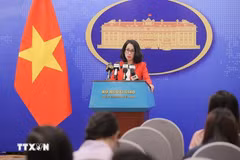 外交部例行记者会：保护和促进人权是越南的一贯政策