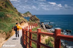 风峡是嘉莱省旅游时游客不可错过的理想旅游目的地。图自vietnam+ 