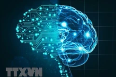 越南力争到2030年跻身东南亚人工智能研发前三强。图自越通社