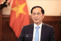 越南政府副总理兼外交部长裴青山。图自越通社