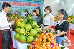 附图 图自越通社