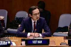 越南常驻联合国代表团团长杜雄越大使。图自越通社