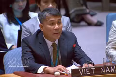 越南外交部常务副部长阮明羽在辩论会上发言。图自越通社