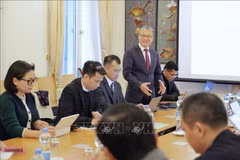 阮春听教授在座谈会上发言。图自越通社