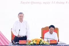 越共中央总书记苏林发言。图自越通社