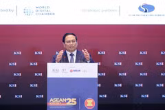 范明政总理发言。图自越通社
