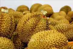 榴莲出口逐步复苏。图自越通社