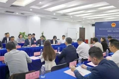 座谈会场景。图自越通社