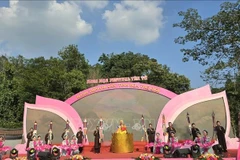 2025年安子节开幕式。图自越通社