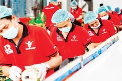 Vina T&T公司正在加工椰子。图自人民报