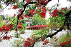 河内还剑湖美景。图自越通社