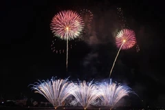 2025年岘港国际烟花节在岘港市举行。图自越通社