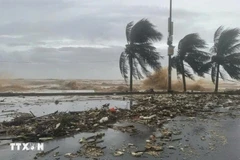 附图 图自越通社