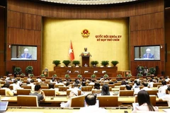 第十五届国会第九次会议场景。图自越通社