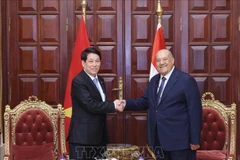 越南国家主席梁强会见埃及参议院议长阿卜杜瓦哈卜·阿卜杜拉齐格。图自越通社