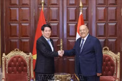 越南国家主席梁强会见埃及参议院议长阿卜杜瓦哈卜·阿卜杜拉齐格。图自越通社