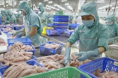 越南水产品在新加坡市场巩固地位，市场份额占有率超10%。图自越通社