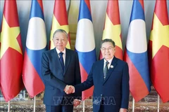 越共中央总书记苏林与老挝国会主席赛宋蓬·丰威汉。图自越通社