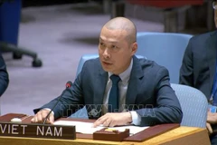越南呼吁推动加沙实现公正持久和平