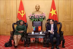 越南胡志明国家政治学院副院长杨忠意会见了正在对越南进行工作访问的非洲人国民大会副秘书长莫库亚尼。图自越通社