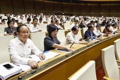 越南国会代表按下表决器表决通过关于2013年《宪法》若干条款修改补充的决议。图自越通社