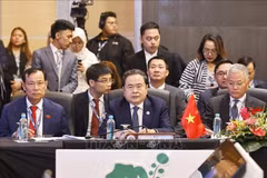 陈青敏出席第46届东盟议会联盟大会第一次全体会议。图自越通社