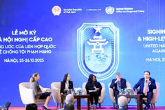 高级别政策座谈会现场。图自越通社
