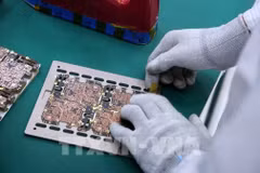 附图。图自越通社