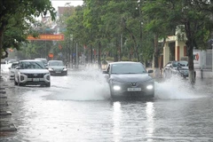 太平省暴雨致多条街道被淹没。图自越通社