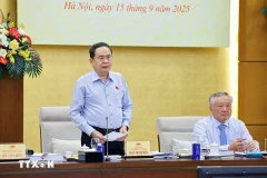 越南国会主席陈青敏发言。图自越通社