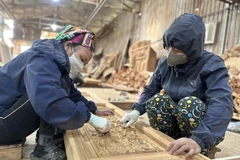 附图 图自越通社