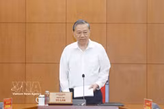 越共中央总书记苏林在会议上发言。图自越通社
