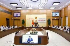 2013年宪法修宪委员会第一次会议召开。图自越通社