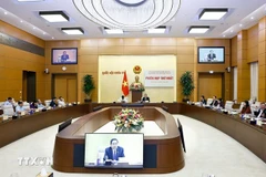 2013年宪法修宪委员会第一次会议召开。图自越通社