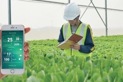 应用高科技助力农业转型。图自越通社