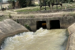 附图 图自越通社