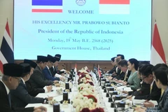 泰国总理佩通坦·钦那瓦与印度尼西亚总统普拉博沃·苏比安托在曼谷举行高级别会谈。图自越通社