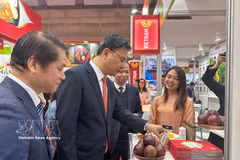 越南驻日本大使范光校参观越南展位。图自越通社