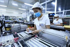 附图 图自越通社