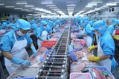 2025年6月越南水产品出口额8.76亿美元。图自越通社