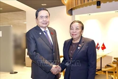 越南国会主席陈青敏会见老挝国会副主席顺通·赛雅佳。图自越通社