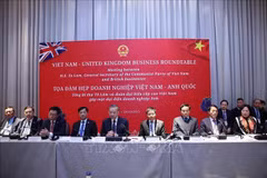 越共中央总书记苏林出席越南-英国企业座谈会。图自越通社