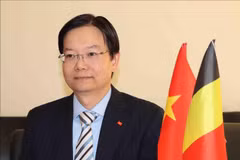 越南驻比利时和欧盟商务参赞、经济商务处处长陈玉军。图自越通社