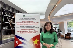 越南科技协会联合会下属绿色经济研究所所长杨氏碧叶。图自越通社