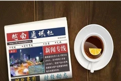 ☕️️越通社新闻下午茶（2025.5.1） 