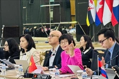 越南常驻东盟代表团团长尊氏玉香大使（分红衣）主持会议。图自越通社