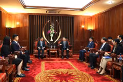 越南政府副总理胡德福会见新加坡前副总理王瑞杰。图自政府报