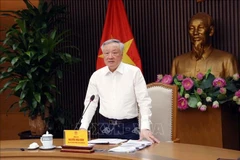 政府常务副总理阮和平发言。图自越通社