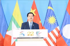 越南政府副总理梅文政发言。图自越通社